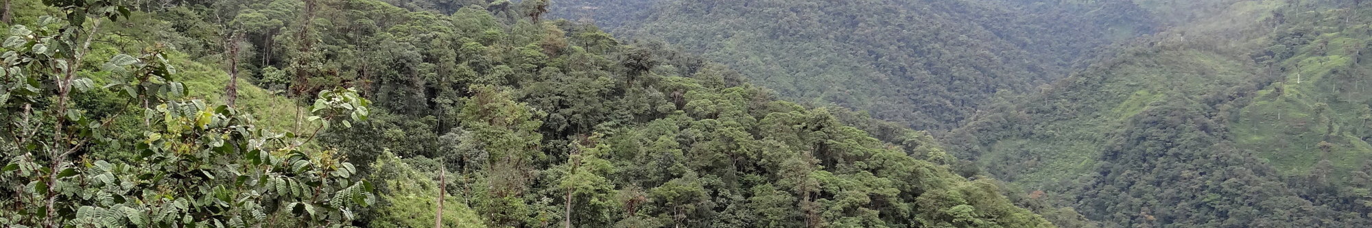 Reserva Drácula, Ecuador