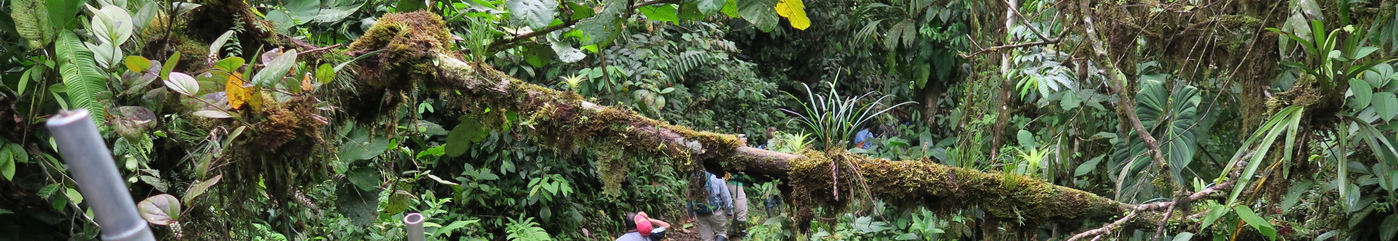 Reserva Drácula, Ecuador